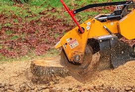 How Our Tree Care Process Works  in  Tomahawk, WI
