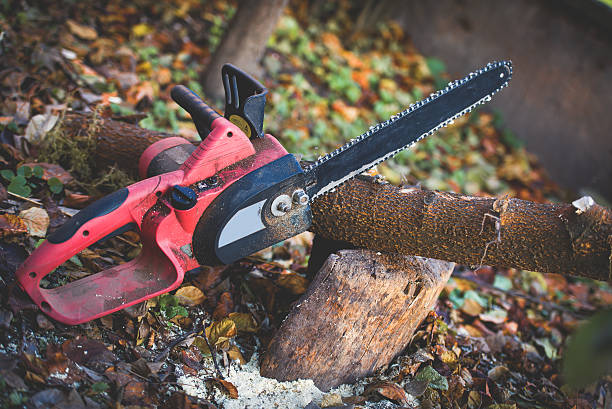 Lawn Pest Prevention in Tomahawk, WI